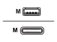 Bretford - USB cable - USB (M) to 24 pin USB-C (M) - 1 ft (pack of 10) HNQ72BG1