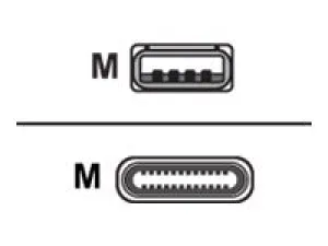 Bretford - USB cable - USB (M) to 24 pin USB-C (M) - 1 ft (pack of 10) HNQ72BG1