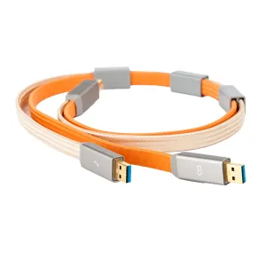 iFi Gemini 3.0 Dual Headed Audiophile USB Cable (0.7m, USB 2.0 B)