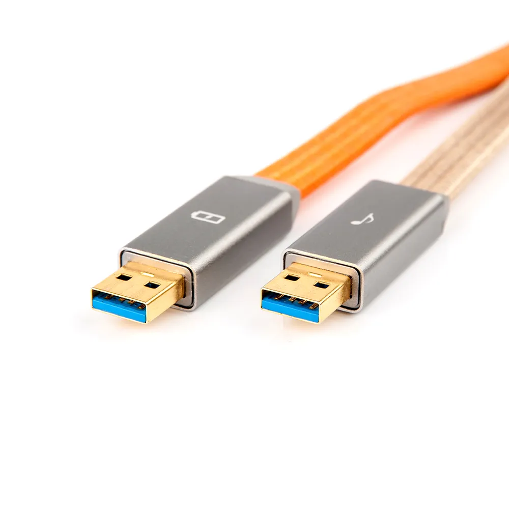 iFi Gemini 3.0 Dual Headed Audiophile USB Cable (0.7m, USB 2.0 B)