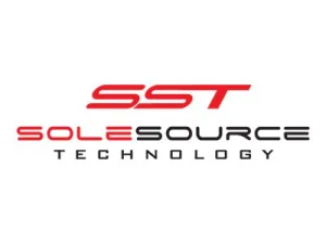 Sole Source - DDR4 - module - 128 GB - DIMM 288-pin - 2933 MHz / PC4-23400 SGD429ER282R4/32GB