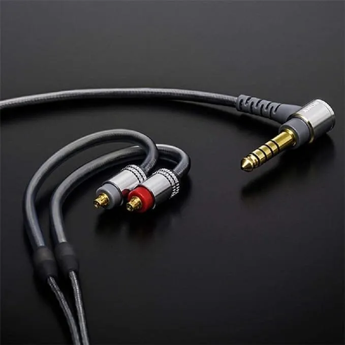 Sony IER-Z1R Signature Series 2DD 1BA In-Ear Headphones